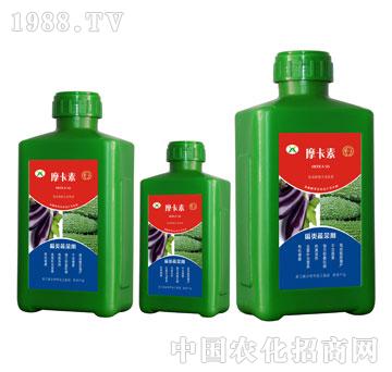 ����߲ˌ��ð���������Һ�ķ�-Ħ����-��о���H