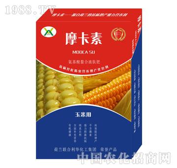 ���׌��ð���������Һ�ķ�-Ħ����-��(qi��ng)о���H