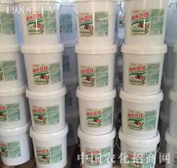 營養(yǎng)在線-新思路