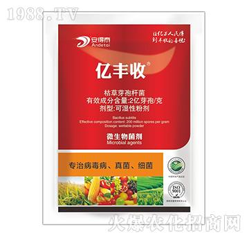 ���β����������(x��)��-�|�S��-����̩