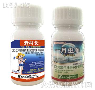 棉鈴蟲(chóng)核型多角體病毒-老村長(zhǎng)+一月沖凈-凱瑞克