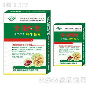 �t�������������^����-