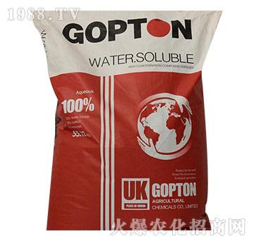 果頓大量元素水溶肥19-19-19+TE-亞瑟夫