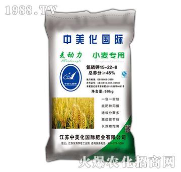 麥動(dòng)力15-22-8-小麥專用-益生源