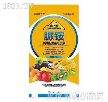 �����������\���@-���ϴ�-���W����