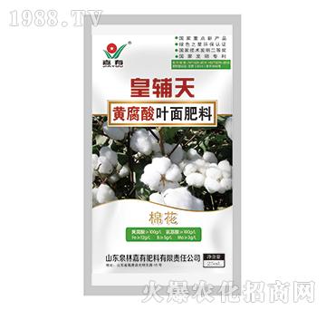 皇輔天黃腐酸葉面肥料（棉花）-嘉有肥料