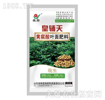 皇輔天黃腐酸葉面肥料（花生）-嘉有肥料