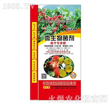 ���ӌ���΢�������-���r(n��ng)