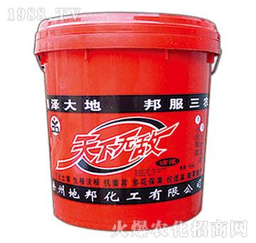 天下無敵-地邦泉