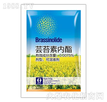 �|̦�؃�֬-�A�̻���