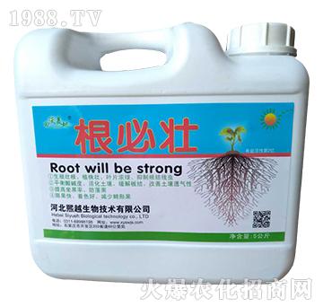 ���؉�-��Խ����