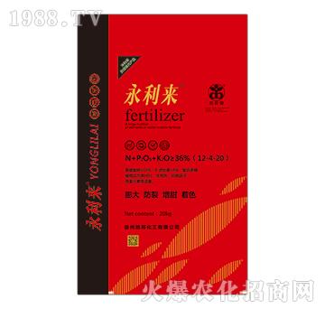 20kg大量元素水溶肥12-4-20-永利來(lái)-地邦泉