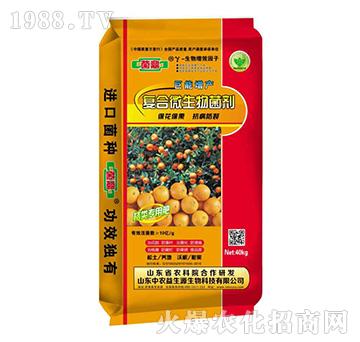 �ͺ�΢�������-����-����Դ