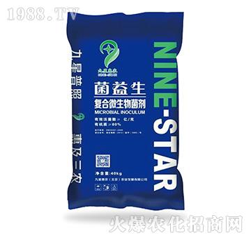 菌益生（復(fù)合微生物菌劑）-九星惠農(nóng)