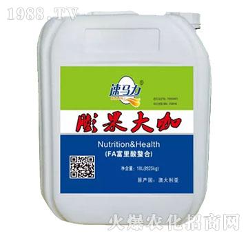 �����-���R��-�а�