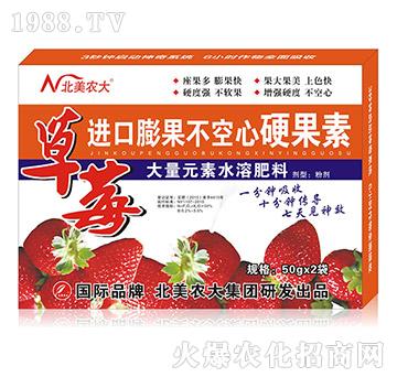 草莓進(jìn)口膨果不空心特效素-北美農(nóng)大