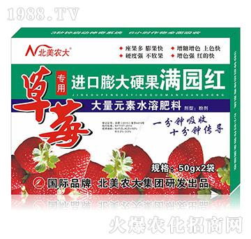 草莓專用進口膨大硬果-滿園紅-北美農(nóng)大