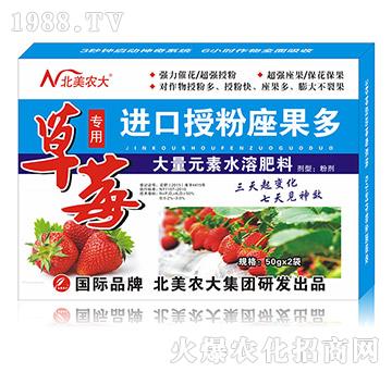 草莓專用進口授粉座果多-北美農(nóng)大