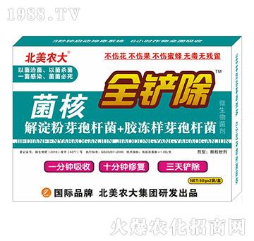 ����ȫ�P��-�����r(n��ng)��