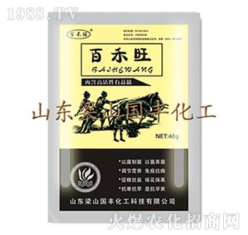 �ٺ���������-��ɽ���S