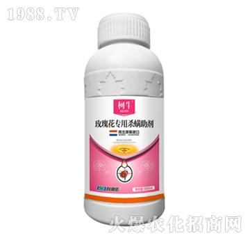 õ�廨���Ú�������-����-�����r