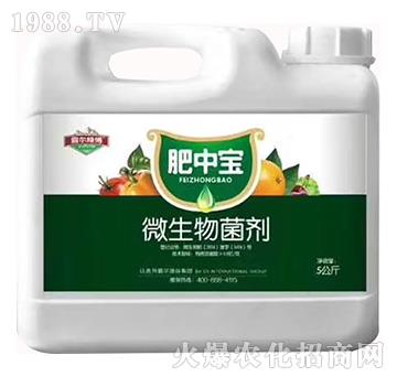 ΢�������-���Ќ�-��