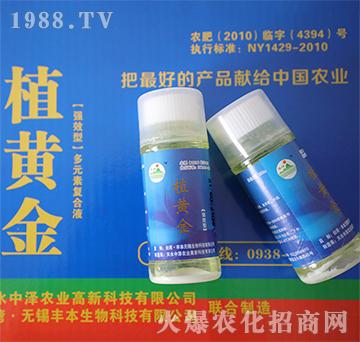 強效型·多元素復(fù)合液肥-植黃金-中澤農(nóng)科