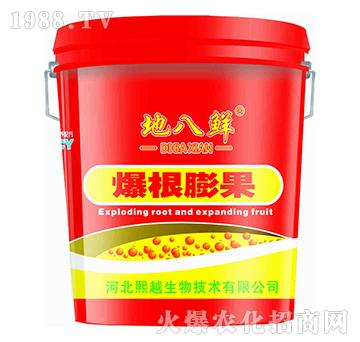 爆根膨果-地八鮮-熙越生物