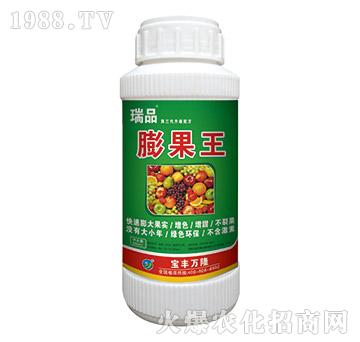 膨果王-瑞品-寶豐萬隆