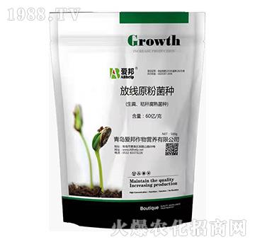 放線原粉菌種-愛邦