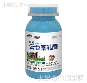 云臺素乳酯-云臺大化