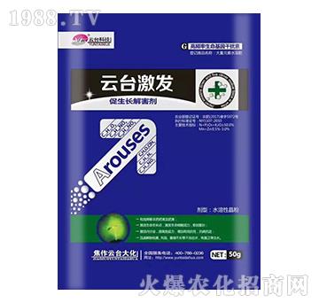 50g云臺激發(fā)-云臺大化