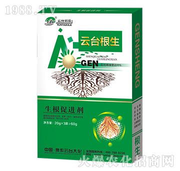 云臺根生-云臺大化