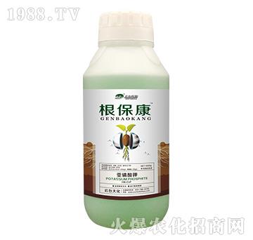 1000g根保康-云臺大化