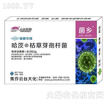 細(xì)菌專用菌鄉(xiāng)-云臺大化