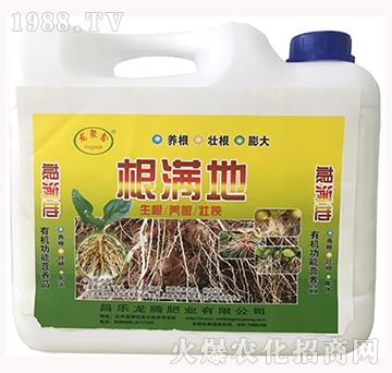 根滿地-龍騰肥業(yè)