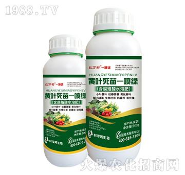 黃葉死苗一噴綠-人人共享農化