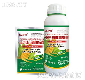 玉米抗倒粗縮靈-人人共享農化