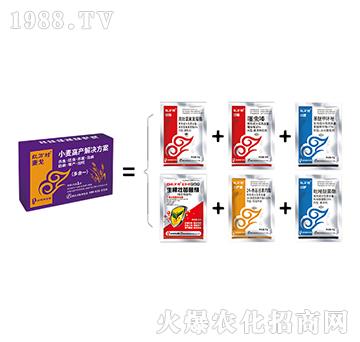 小麥一噴三防-麥戈組合-人人共享農化