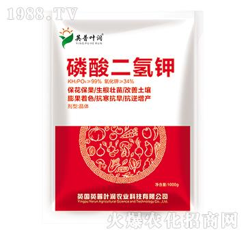 ��������-Ӣ���~��