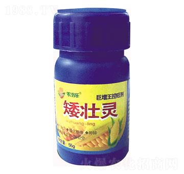 矮壯靈-農(nóng)翁樂