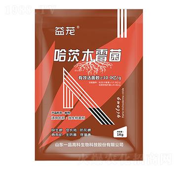 ����ľù��-����-���r(n��ng)˼�_(d��)