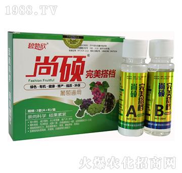 ����ͨ�����-����