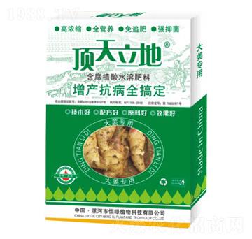 大姜專用含腐植酸水溶肥料-頂天立地-恒綠植物