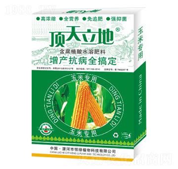 玉米專用含腐植酸水溶肥料-頂天立地-恒綠植物