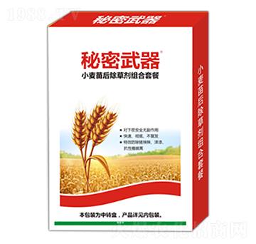 С�������݄��M���ײ�-��������-嫪{�r(n��ng)�I(y��)