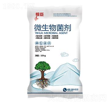 微生物菌劑-根臣-一畫農(nóng)業(yè)