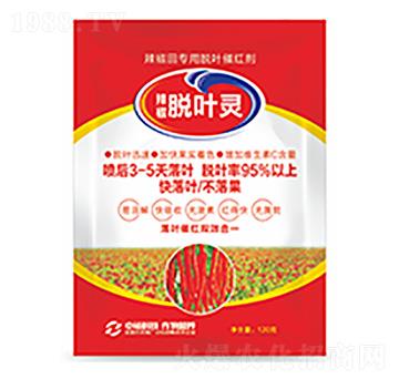 Ó�~�`-�����Ƽ�