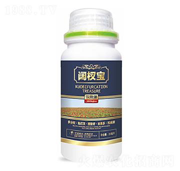 �辌�-�����Ƽ�