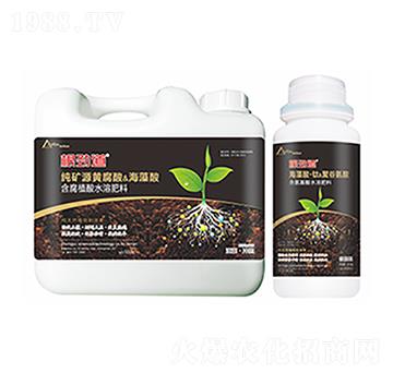 ���ŵ�-�����Ƽ�